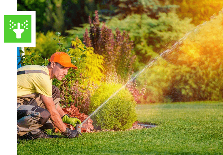 Gardener kneeling and trimming bushes while a sprinkler waters the lawn.